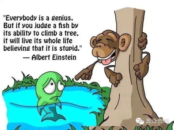 不要强迫一条鱼去爬树