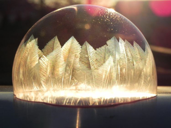 凝视小水珠里的羽毛状冰晶体